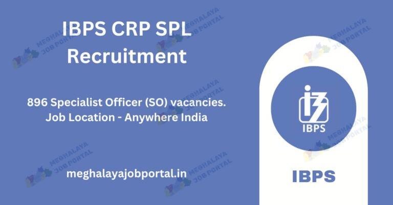 IBPS CRP SPL Recruitment