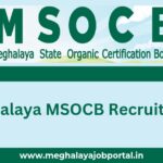 Meghalaya MSOCB Recruitment 2025 notification out for 4 posts. Apply now for Auditor job. Last date and link inside.