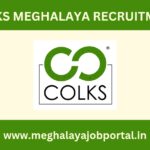 COLKS Meghalaya Recruitment 2025 apply online for 7 data entry posts