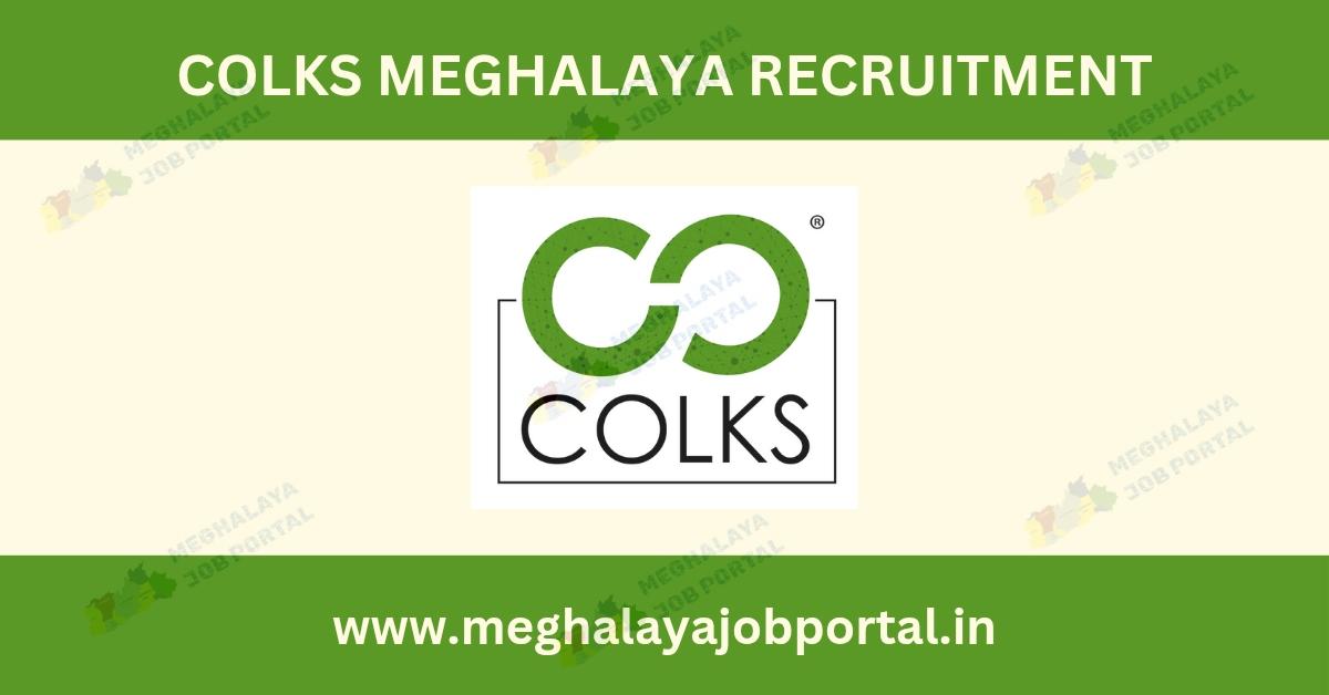 COLKS Meghalaya Recruitment 2025 apply online for 7 data entry posts